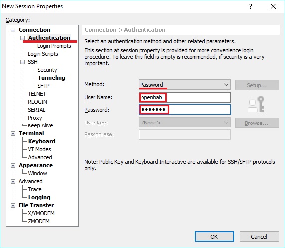 SSH Connection 2